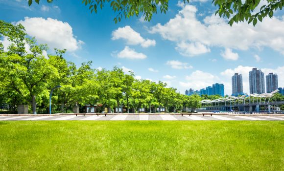 広めの綺麗な公園